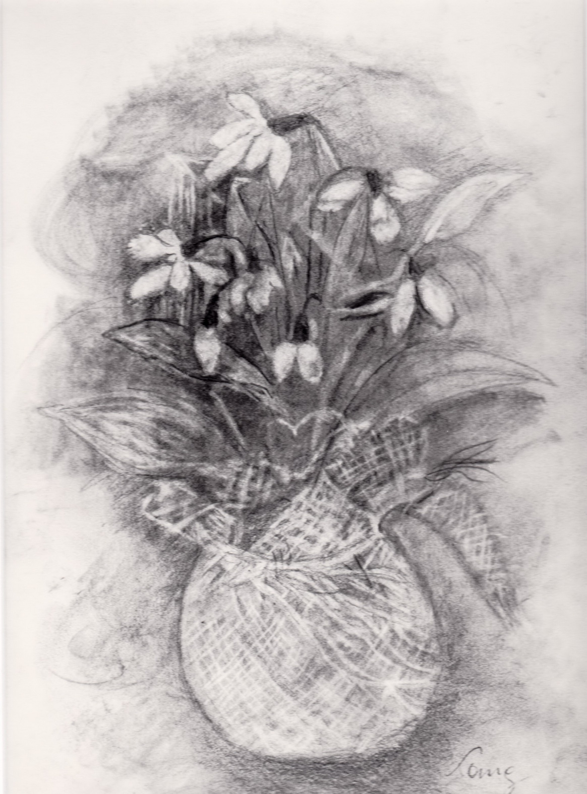 Blumen schwarz weiß