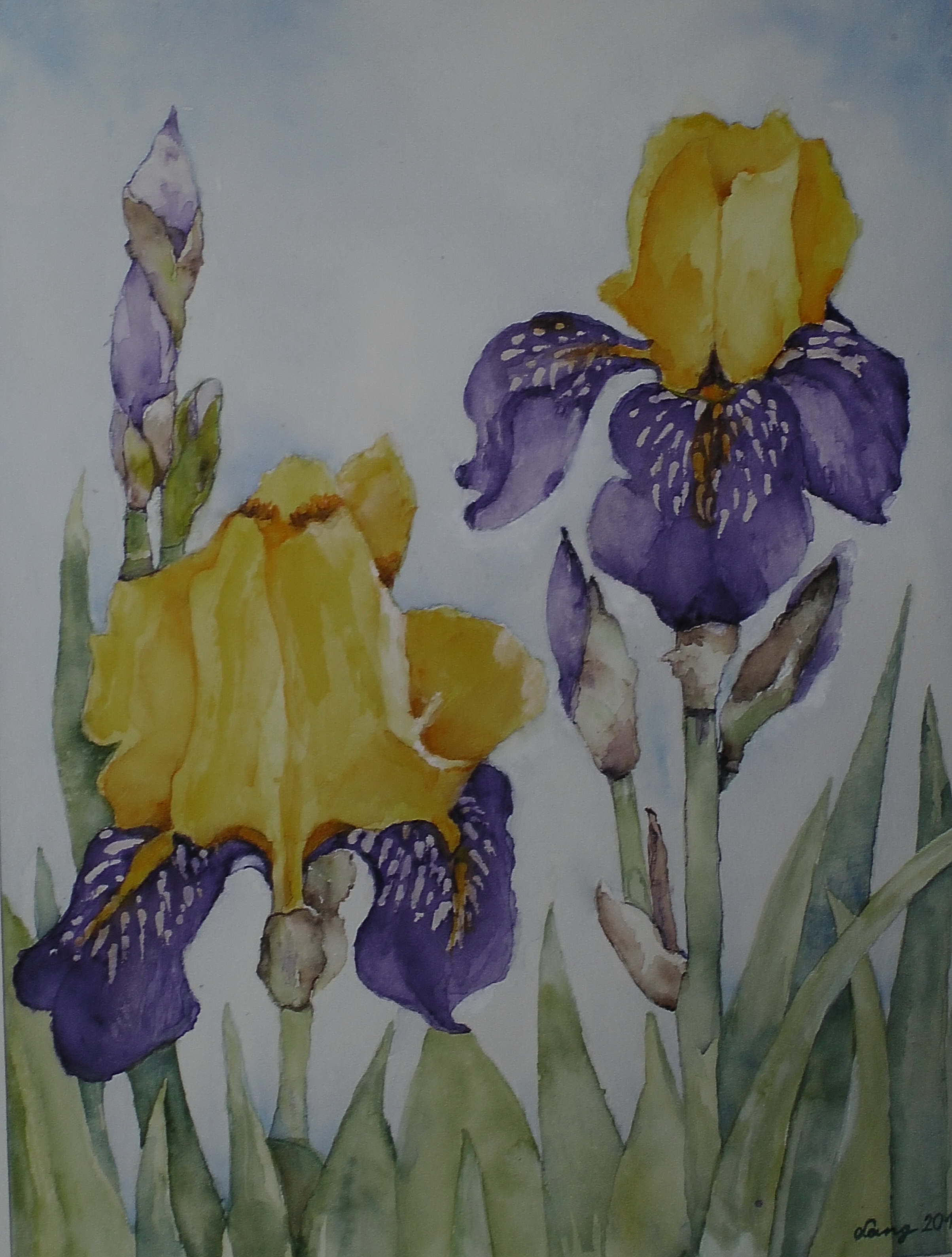 280 x 380 mm