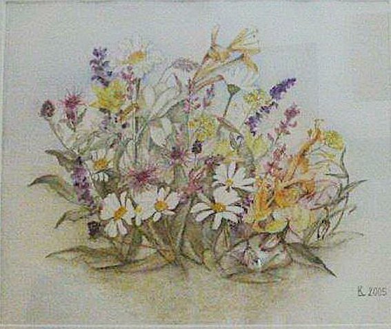Blume