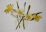 400 x 300 mm