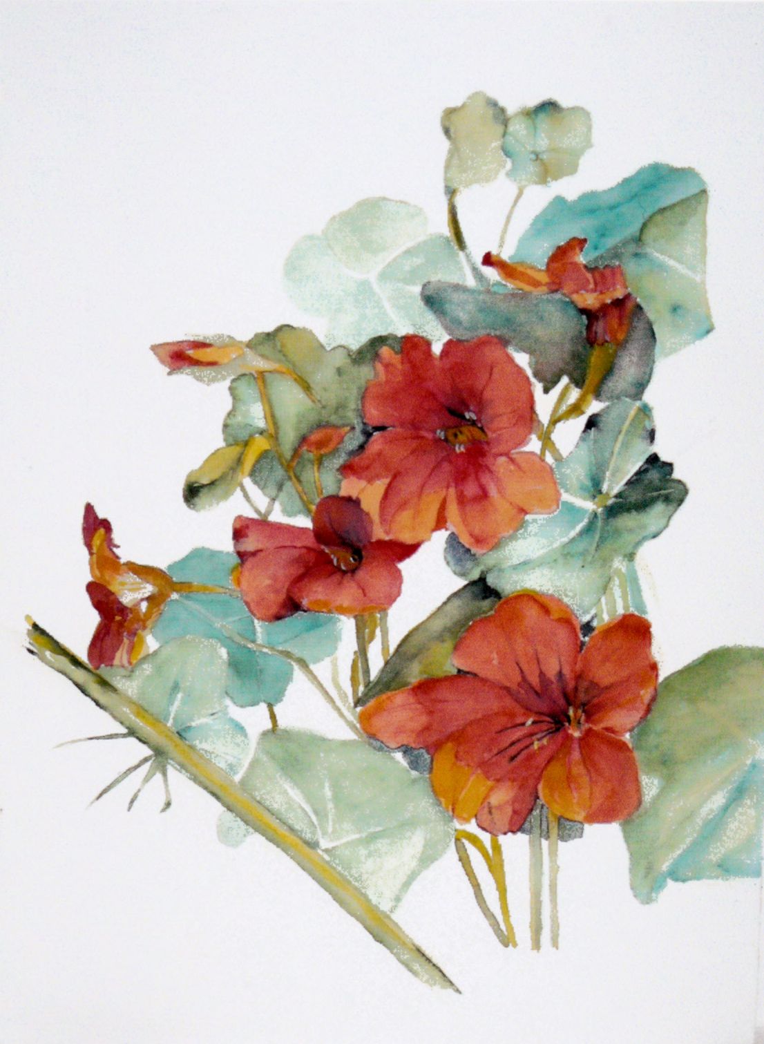 400 x 300 mm