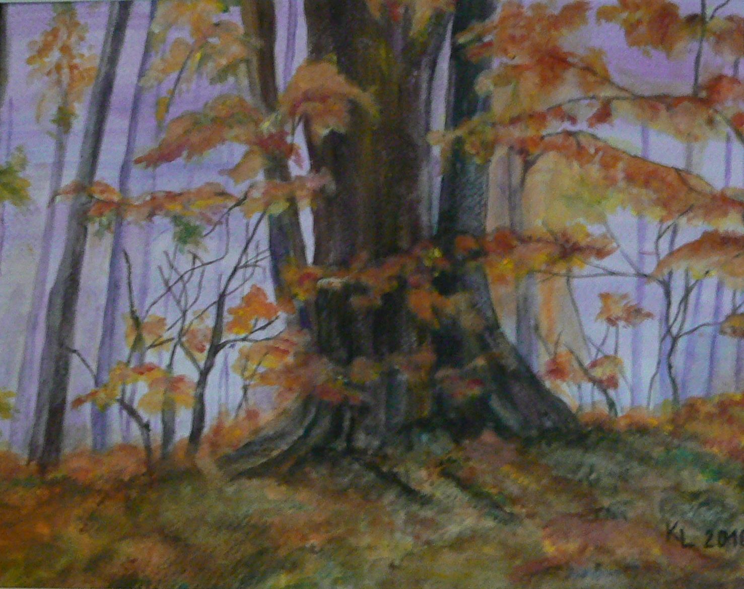 400 x 310 mm