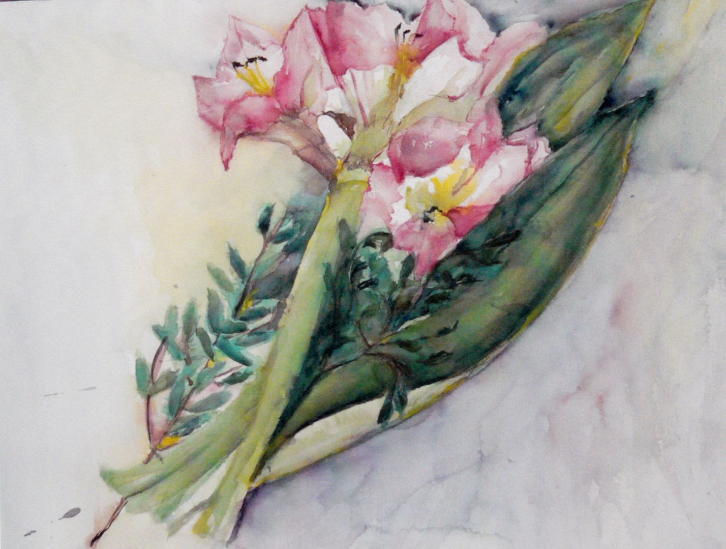 510 x 360 mm