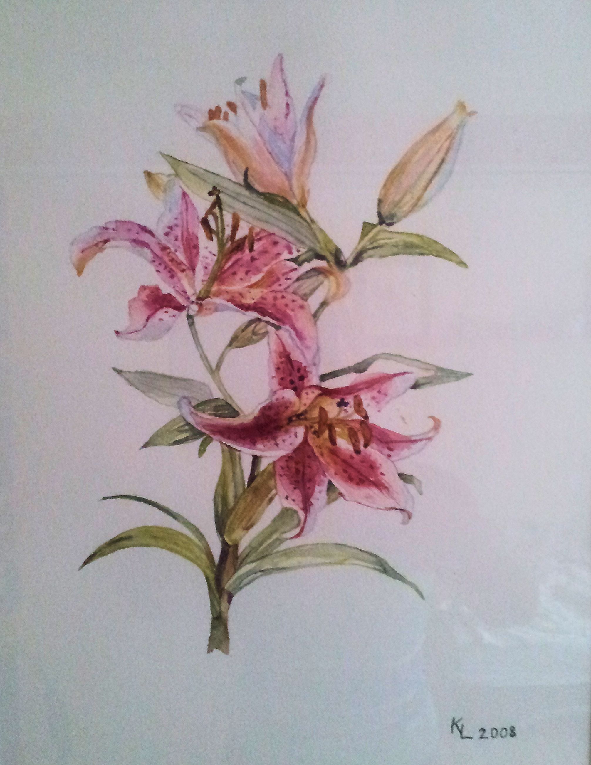 Blumen 2008 400 x 300 mm